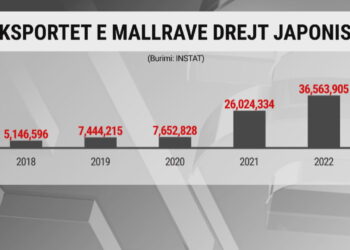 Në kërkim të tregjeve të reja, Shqipëria e Japonia mund të gjejnë pikëtakime ekonomike që sot s’i kanë