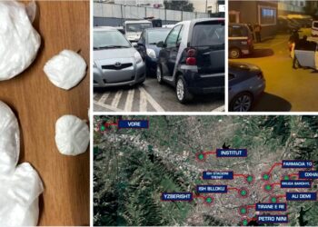 Detajet/ ‘Pluhur zane’ nga Fushë-Kruja, pjesë e grupit të trafikimit të drogës edhe 3 vajza