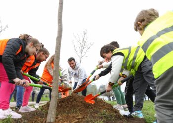 Mbillet pema e 1 miliontë në Tiranë, Veliaj: Jemi në gjysmën e misionit, për të arritur 2 milionë pemë në 2030