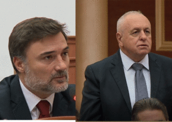 “Kush është Alibeaj?”/ Shehu: Regjistrimi i Partisë Demokratike u bë dje nga kryetari Sali Berisha