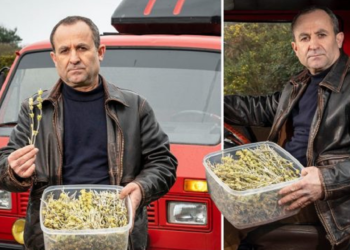 U arrestua në Britani me dyshimin për trafik droge, shqiptarit i gjejnë makinën plot me çaj mali