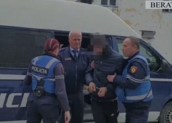 I grabiti çantën e dorës një të miture në Berat, arrestohet 24-vjeçarin e dënuar 2 herë