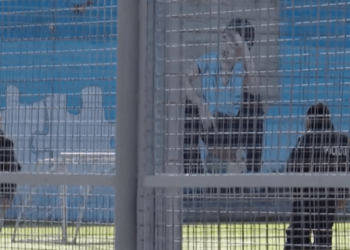 Një ditë në burgun e të miturve, i riu: Më mungojnë shumë gjëra, të ikën rinia. Do dal kur të mbush 19 vjeç