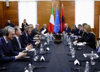 Krifca pret homologun italian: Vaji ullirit dhe vera “Made in Albania”, potencial për rritjen e eksporteve në Itali dhe BE