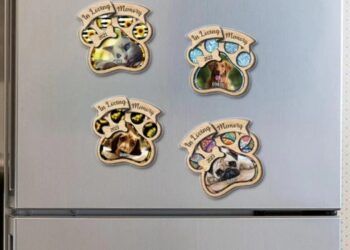 Arsyeja pse nuk duhen mbajtur magnetet në frigorifer