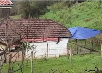 Bënte kilometra të tëra në këmbë/ Kush ishte Pal Kola, 60-vjeçari që punonte roje natën për bukën e gojës