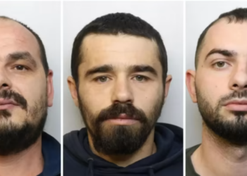 Kultivonin kanabis në një magazinë, 3 shqiptarët “ngujohen” në çati për t’i shpëtuar policisë