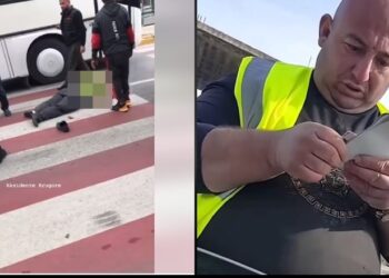 Kamioni përplas për vdekje mbi vijat e bardha personazhin e njohur në Tik-Tok