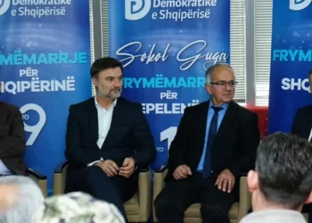 Alibeaj në Tepelenë: Partinë e pastruam nga Berisha, nuk bëhet politikë me non grata