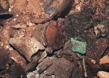 Flokët e epokës së bronzit zbulojnë përdorimin e parë të drogës në Evropë 3000 vjet më parë