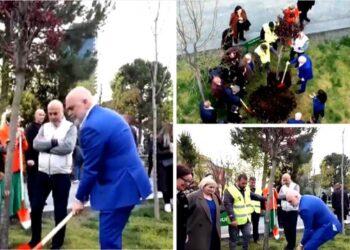 Parashikimet e Ramës: Kur Pandi të jetë president nderi i PS, ne të tjerët jemi në Sharrë, do tregojë për fëmijët e fëmijëve tanë…!