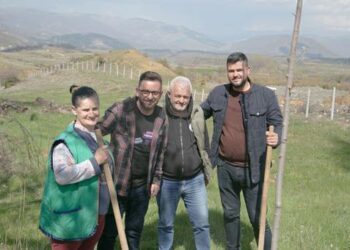FOTOT/ Kandidati i PS Erion Isai bën për vete kundërshtarët, mbjell pemë bashkë me kryetarin e PD