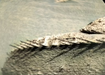 “Duket si kockë”, shkëmbi i pazakontë në Mars fut shkencëtarët në mendime