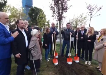 “Pemë në vend të posterave”/ Veliaj: Qytetet bëhen më të mira me punë