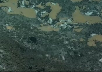 Tërmeti që mund të shkatërrojë botën, zbulohet e çara e frikshme në fund të Paqësorit