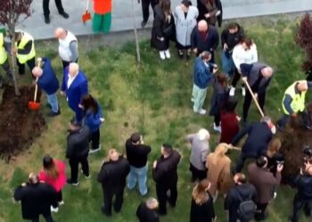 Fushata e 14 Majit, Veliaj: Ne mbjellim pemë dhe bashkëpunim, jo sherr dhe përçarje