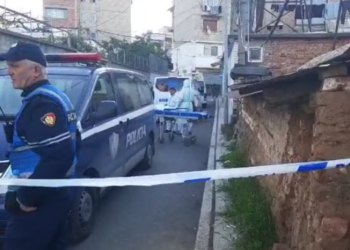 Vrasja e 37-vjeçares nga kunati/ Zbardhet dëshmia e kamerierit: Autori e kishte kërcënuar kunatën, por s’kishte kallëzim