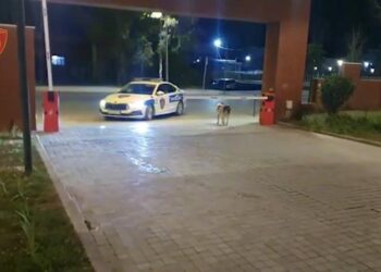 Preu damarët i dehur, gjendet në mes të rrugës 30-vjeçari në Tiranë