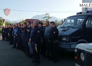 “Alpe të pastra”, nis aksioni masiv i policisë në Malësinë e Madhe kundër kultivimit të lëndëve narkotike