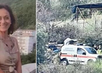 Emri/ Qeni i llojit Rottweiler ‘shqyen’ për vdekje 53-vjeçaren, i dëmton kokën, gjoksin e shpatullat. Ekzekutohet
