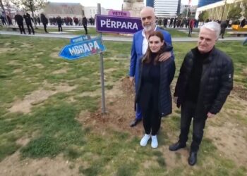 Batutat/ Majko refuzon të dalë në foto, Rama: O Pandi hajde se jemi live, do thonë paska probleme me kryetarin