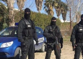 Në kërkim të Suel Çelës? RENEA ‘zbarkon’ në Elbasan dhe rrethon tregun agroushqimor në pronësi të babait të tij! 4 të shoqëruar