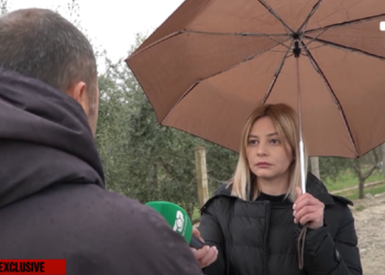 Krimi në familje/ Të afërmit e Migenës: Kunati e kërcënonte shpesh, vëllezërit kishin probleme me njëri-tjetrin