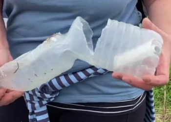 “Fat të mirë për jetën…”/ Gjen pas 10 vitesh mesazhin në një shishe, zbulohet shkrimi i një 8 vjeçareje në të