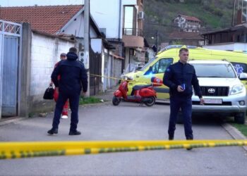 “Ndodhin këto raste”/ Çfarë tha djali nga Peja pas vrasjes makabre të nënës së tij