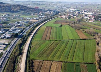 Rama publikon foto nga punimet në hekurudhën Tiranë-Durrës: Udhëtim për 22 minuta