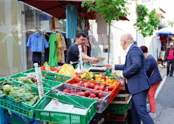 Roland Bejko mbyll fushatën: Prioritet zonat rurale, do ndërtojmë 250 km rrugë në fshatra