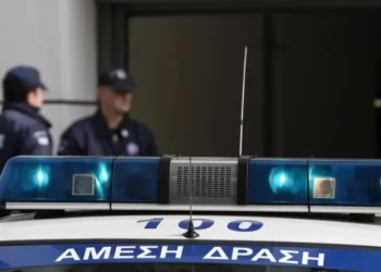 “Kishte radhë te kasa”/ La foshnjën në makinë dhe shkoi për pazar, 22-vjeçarja shqiptare dënohet me burg