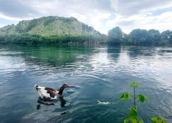 FOTO-LAJM/ Rama i përqëndruar në Shkodër, ndan ‘kartolinën’ nga lumi i Bunës