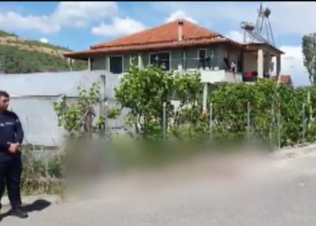 Detaje të reja/ Krimi makabër, 58-vjeçari ishte i dehur kur vrau kunatën! Dëshmia në polici: Më shau