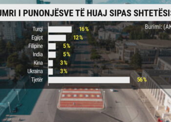 Dyfishohet numri i të huajve që punojnë në Shqipëri, sektorët kryesore fasoneria e peshkimi