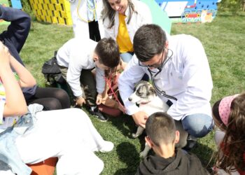 Hapet strehëza e re veterinare për kafshët e rrugës, Veliaj: Qendra ofron kujdes mjekësor dhe vaksinim
