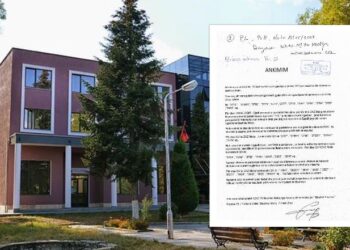 DOKUMENTI/ Kontestimet e para, koalicioni Berisha-Meta ankimon në KQZ rezultatin e zgjedhjeve në Maliq: Parregullsi në fletët e votimit