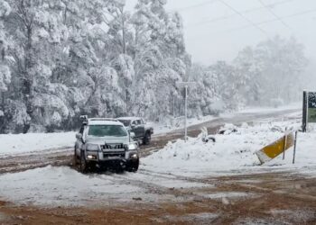 VIDEO/ Australia mbulohet nga rreshjet e borës, anulohen fluturimet