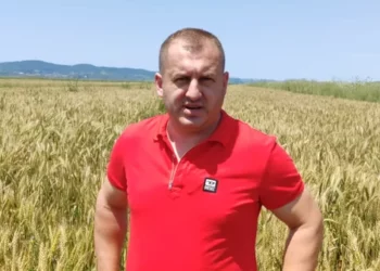 “Pritet më shumë prodhim…”/ Lufta në Ukrainë shtoi parcelat me grurë në Shqipër: Mungon magazinimi