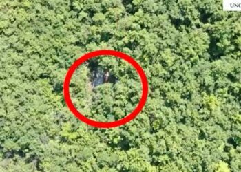 VIDEO/ Megaoperacioni “Imazhi”, asgjësohen rreth 3 mijë fidanë kanabis në Lezhë
