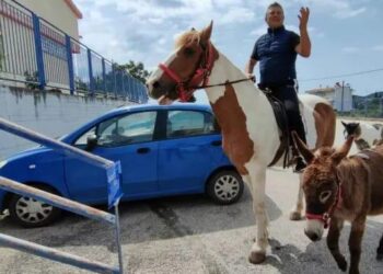 FOTOT/ Zgjedhjet në Greqi, fermeri shkon për të votuar së bashku me kalin dhe gomarin