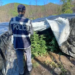 Sekuestrohen 3510 bimë kanabisi në Kurbin, arrestohet një nga pronarët e 31 serave