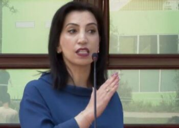 Qeveria firmos vendimin, shkrihet Akademia për Studimet Albanologjike. Kushi: Nuk funksiononte