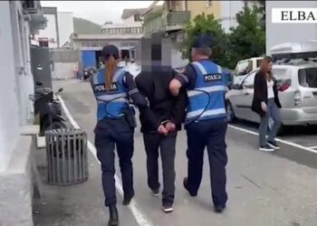 Krimi në Elbasan/ Masakroi me sëpatë kunatën, dyshohet se 58-vjeçari kishte lidhje intime me viktimën