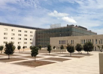 Krim në një familje shqiptare në Itali, 54-vjeçari plagos rëndë gruan me thikë