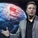 Çip në trurin e njeriut? Elon Musk e bën “realitet”, ja si do funksionojë