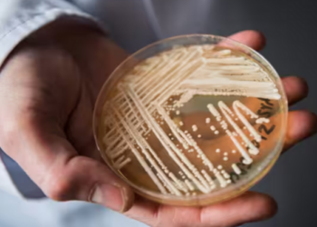 Tjetër pandemi? Zbulohet virusi i ri shumë pranë Shqipërisë, një burrë infektohet dhe ndërron jetë. Detajet