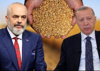 Rinovimi/ Marrëveshja për drithin nga Ukraina zgjatet me 2 muaj, Rama: Urime për Erdogan dhe rolin e tij vendimtar
