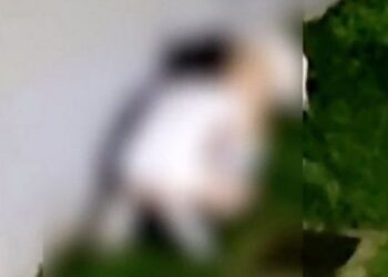 FOTOT/ Nuk pyesin për kalimtarët, çifti kryen marrëdhënie s*ksuale në mes të rrugës