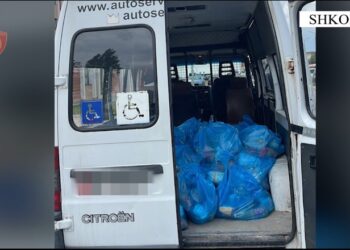VIDEO/ Dy punonjës të Bashkisë Shkodër kapen me 50 pako ushqimore në furgonin e Drejtorisë Arsimore! Dyshohet se…!